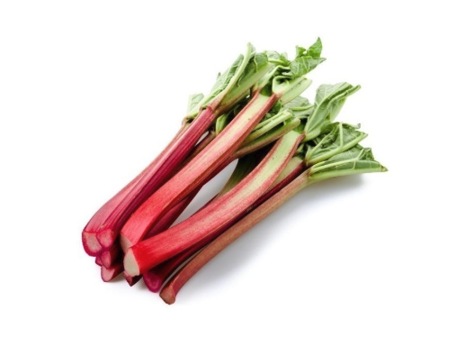 rabarbar z polskiego gospodarstwa