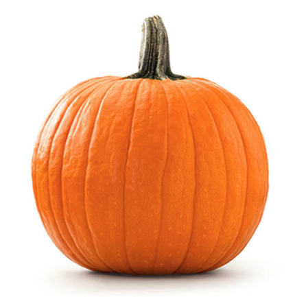 Świeże dynie z lokalnego gospodarstwa