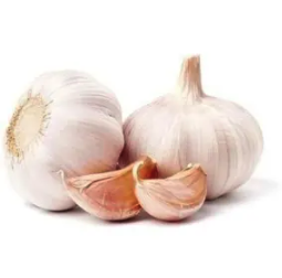 Świeży czosnek – lokalny smak i jakość