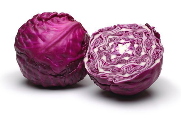 Kapusta czerwona na sprzedaż
